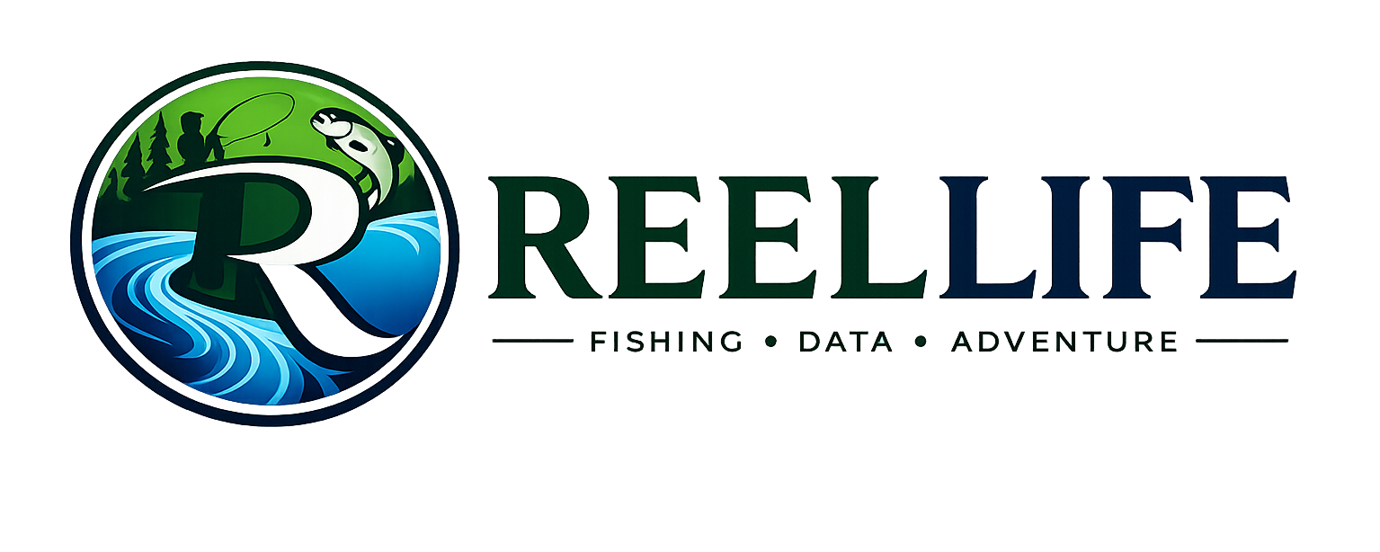 Reellife.no